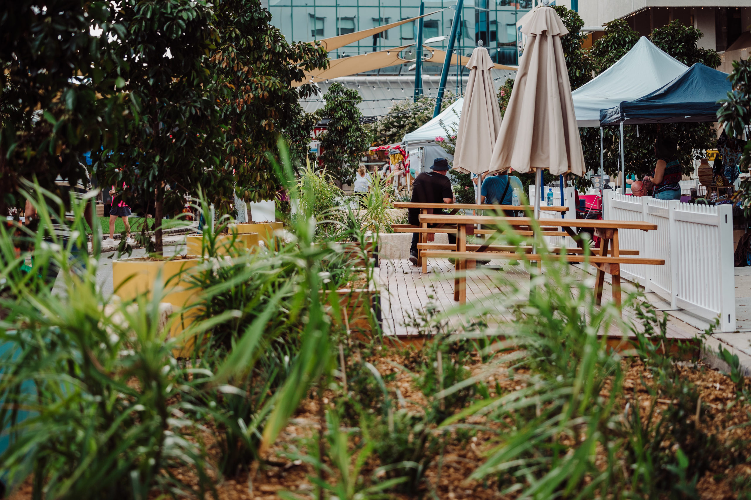 Reimagining Campbelltown: Measuring the impact of placemaking investment and activations